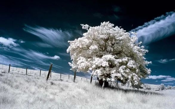 这个手机镜头竟能拍透视照？我劝你善良