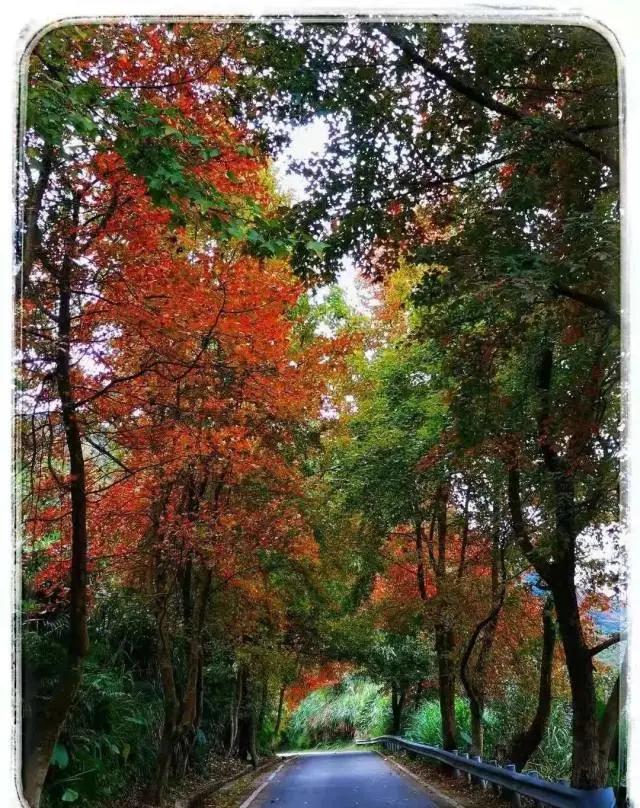 藏于高山密林的空中度假区——从化亿城泉说，泡温泉，叹早晚餐