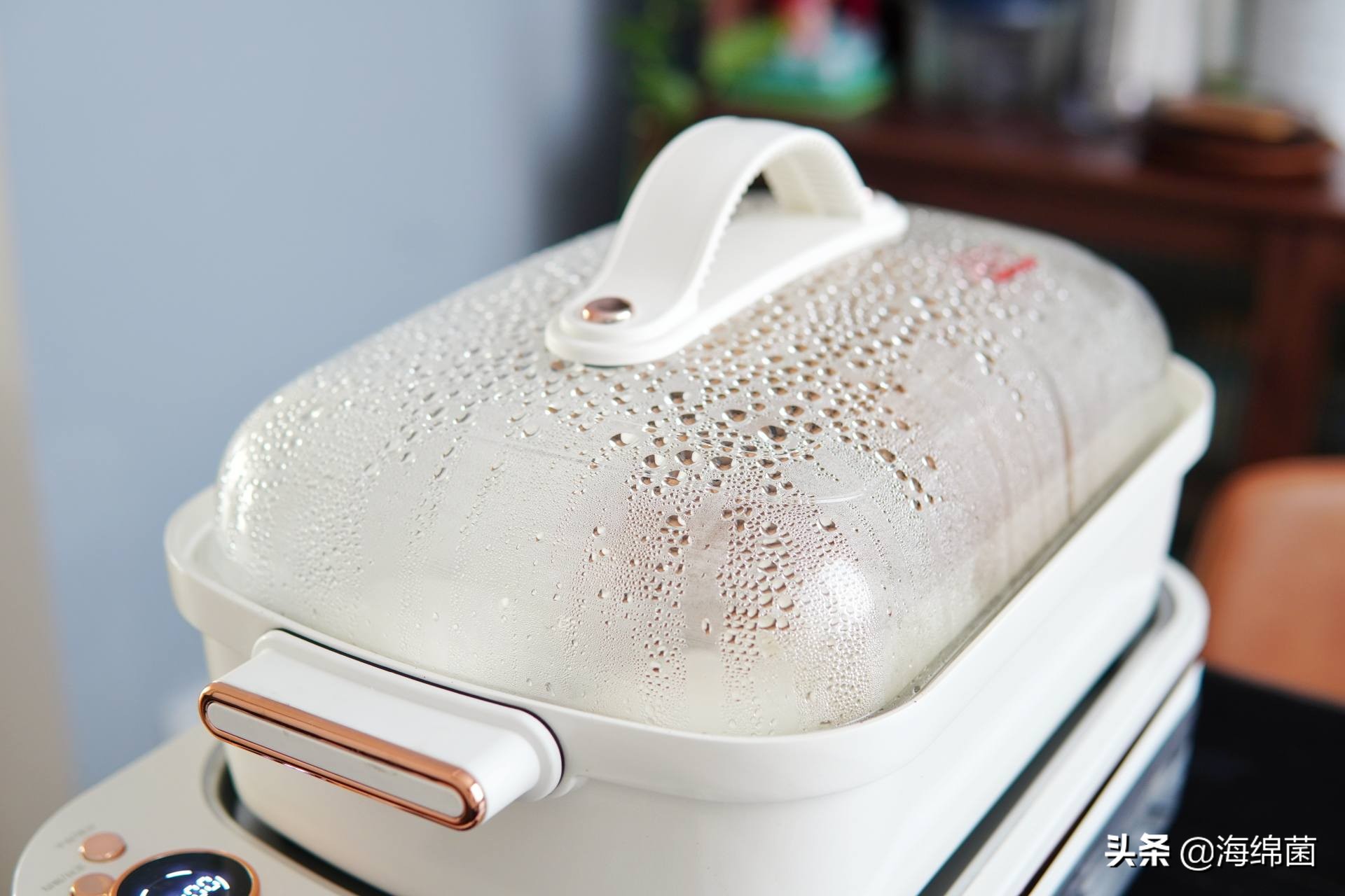 bolali博拉利多功能蒸汽料理锅,蒸汽桑拿锅测评