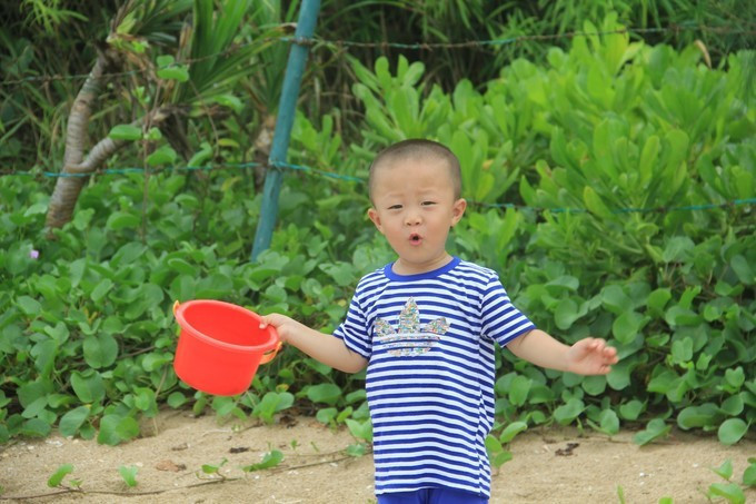海边美食推荐旅游攻略,海边旅游美食风景攻略