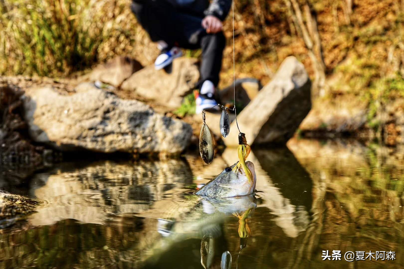 路亚不了解饵重,路亚不知道钓什么
