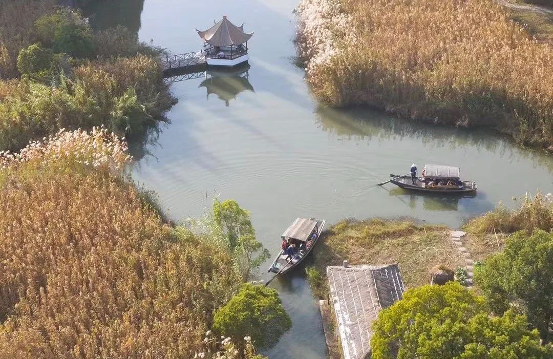 闃虫緞婀栨矙瀹舵禍鐖婇浮,涓轰簡澶ч椄锜规潵鍒伴槼婢勬箹