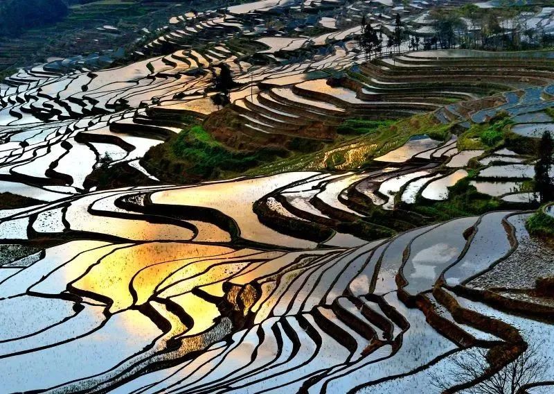 西双版纳风景之旅自由行旅游攻略,邂逅雨林西双版纳秘境之旅