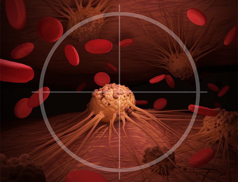 战胜白血病日常注意哪些呢,对抗白血病的小妙招