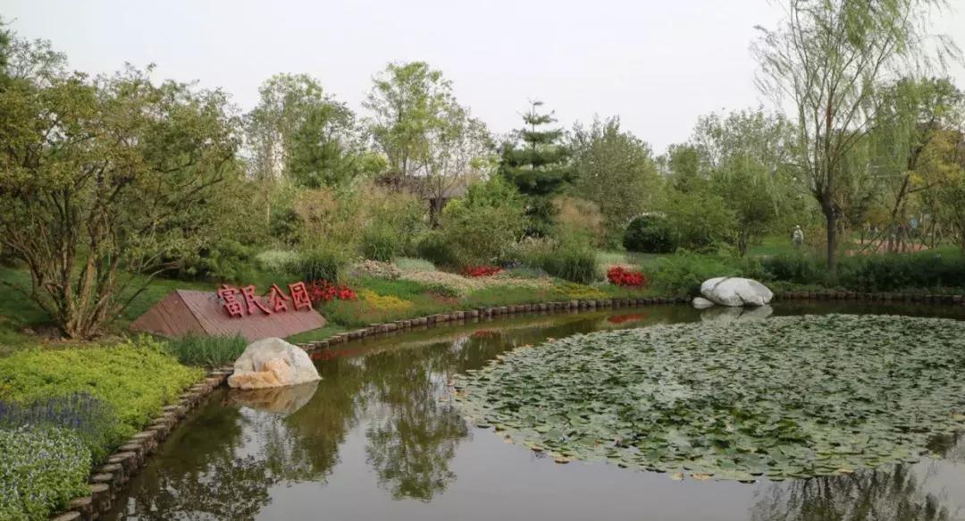 寸土寸金公园,天津值得一去的公园