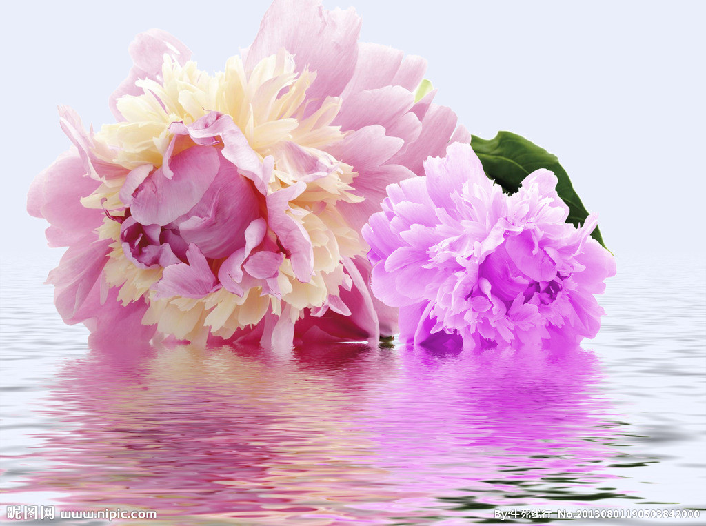 新安分会诗人唱响《祖国颂》（第二辑）|「洛阳诗词研究会」