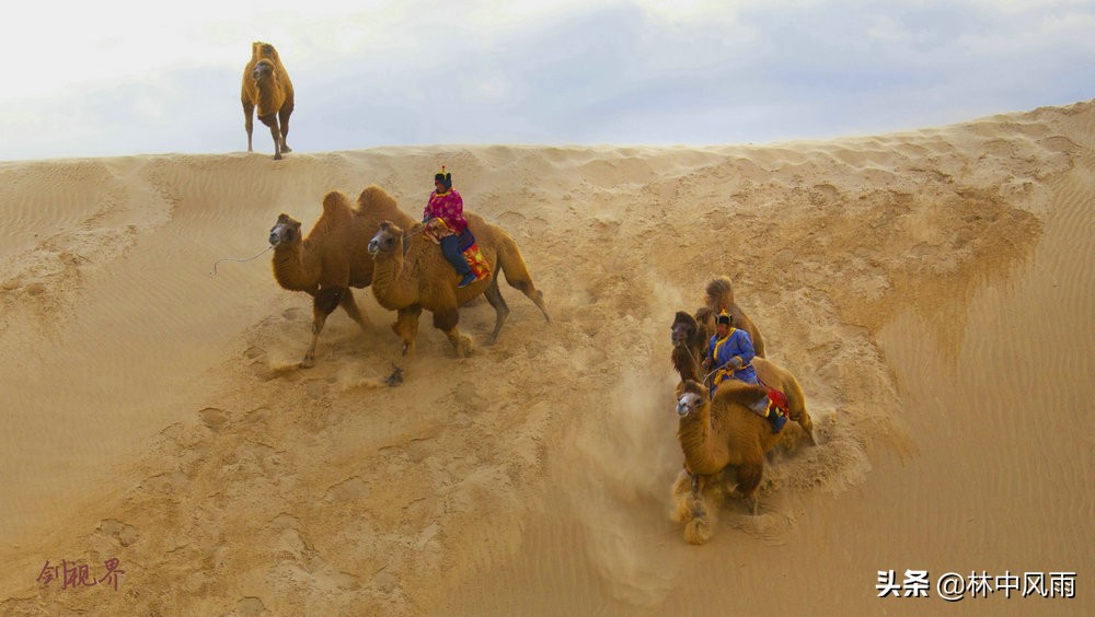 通辽奈曼沙漠,奈曼旗沙漠风景视频