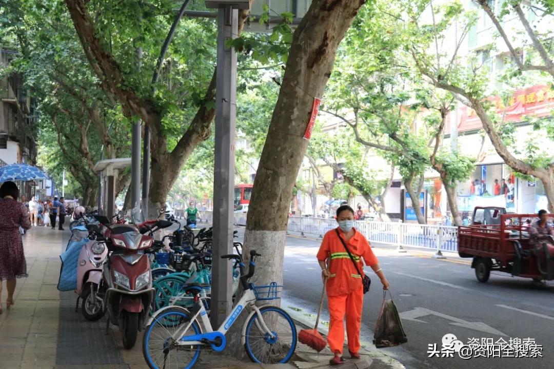 资阳和平路又到了飘“毛毛雨”的时候