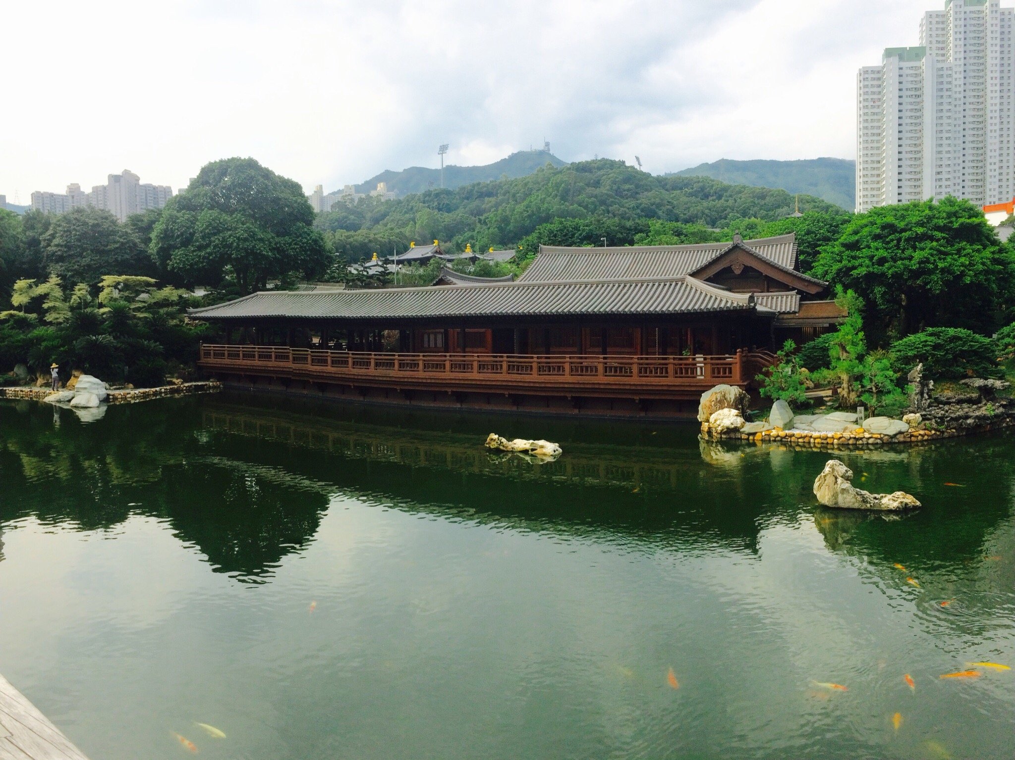 香港志莲净苑地图,香港志莲净苑好玩吗