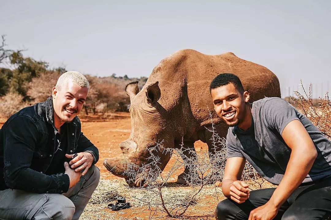 放弃百万年薪，去非洲撸猫？长腿版小李子引63w人舔屏：看我看我