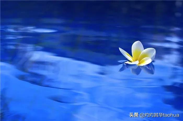 中文到底有多美这篇文章告诉你,中文到底有多美原文