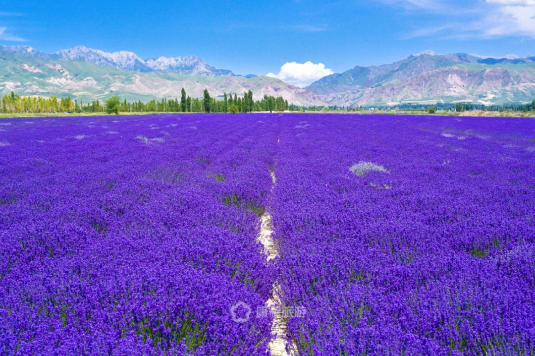 旅行中的故事讲述,旅行过程中的故事