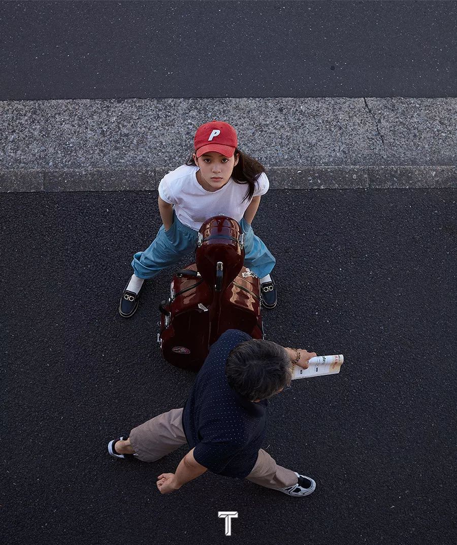 娱乐圈的小花有哪些,娱乐圈里的小花