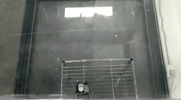 为了这两桶假漆，我当了一回“装修工人”