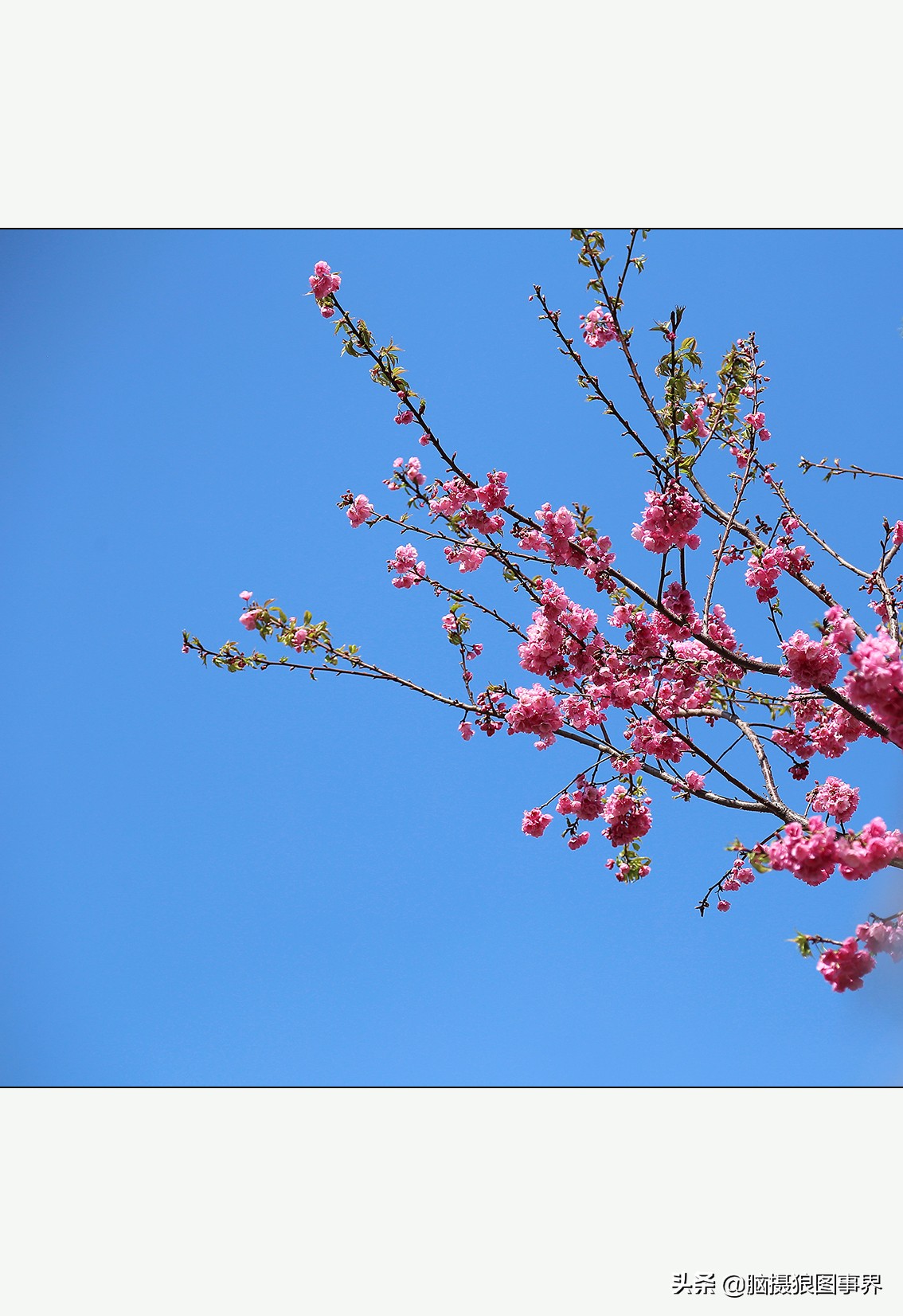 摄影虚化大光圈,佳能24-105镜头怎样拍出虚化效果