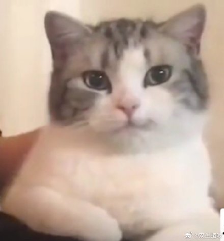 什么眼霜好用去眼纹,眼部用什么眼霜比较好