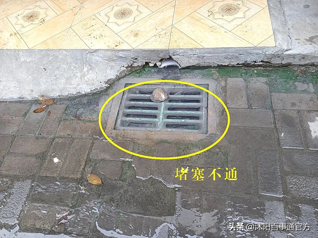 实验小学可怕案件,沭阳实验中学最近发生的事情