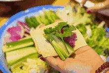 长春发布重要通知情况,长春面向社会公开招聘