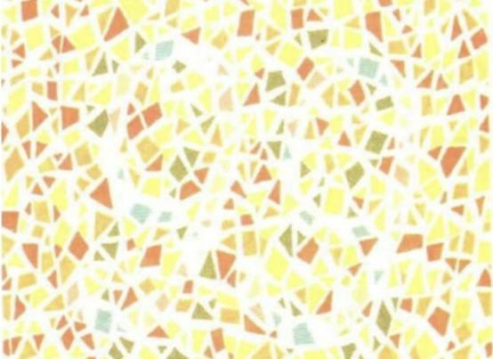 公认的六张色盲图,驾照常用的色盲图