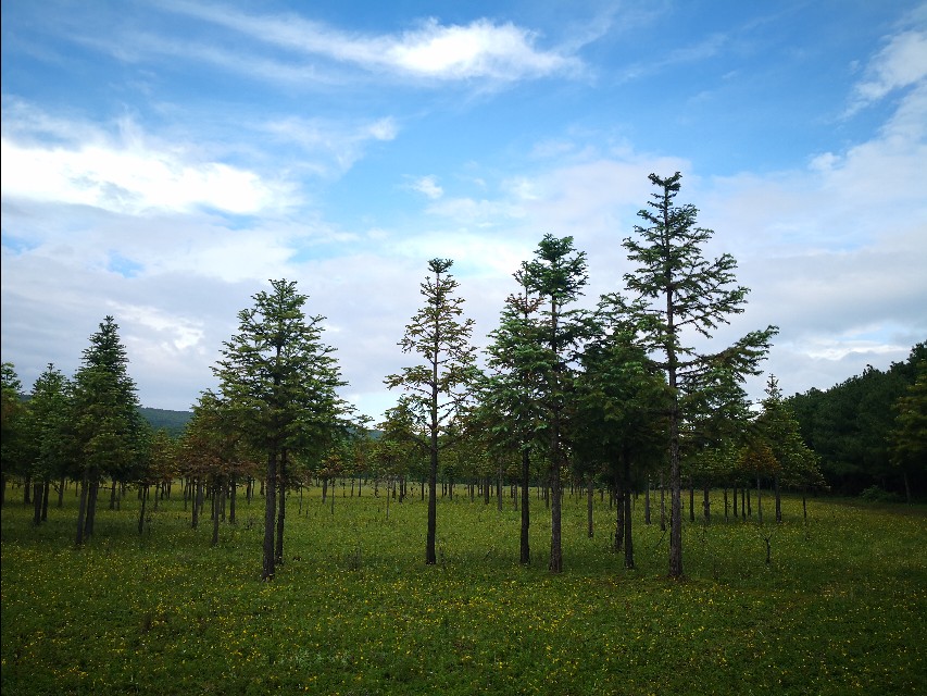 会东县最新县情（20190716）