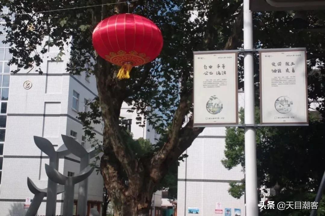 浙江孔庙调查|茅盾故里钩沉:桐乡拆儒宫取良材换钢材造大会堂