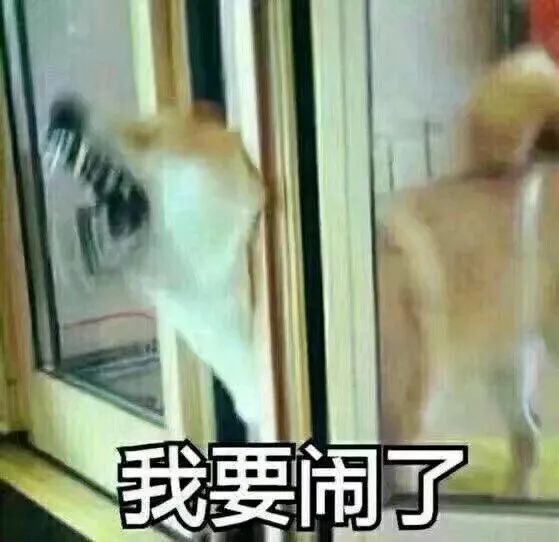 纯种狗怎么来的,怎样培育纯种狗