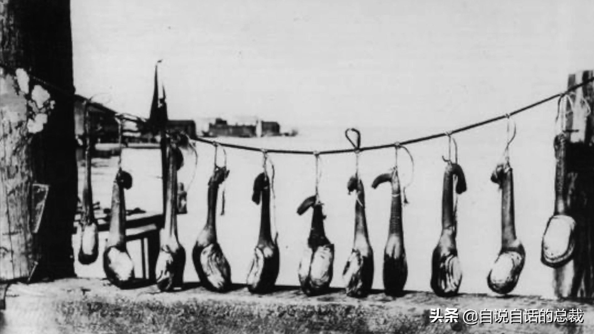 蚶蛤蛏蚬区别,蛤蜊蚶子蛏子区别