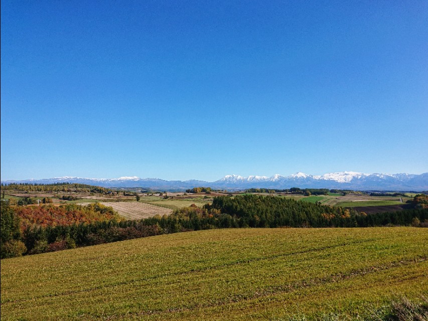 北海道登别到美瑛町需多久,日本北海道美瑛川的雪景