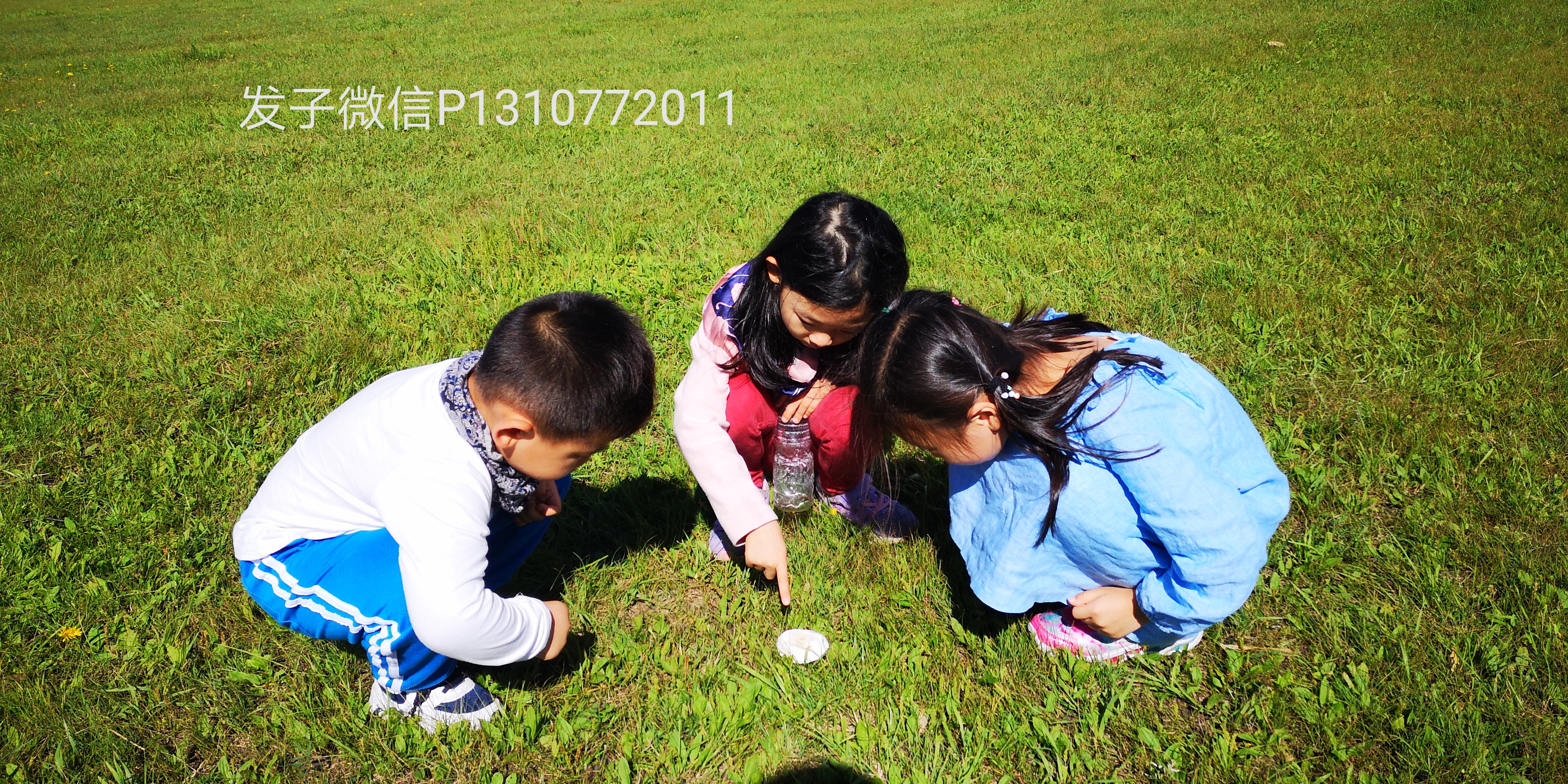 暑期亲子旅游推荐呼伦贝尔大草原,带孩子呼伦贝尔大草原自驾游