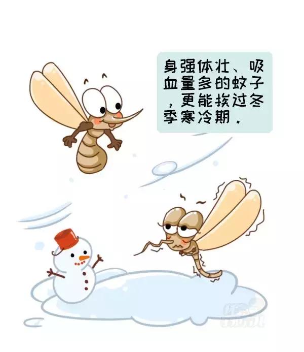 急!登革热已爆发641例,“秋蚊”战斗力爆表,尤其是这2种