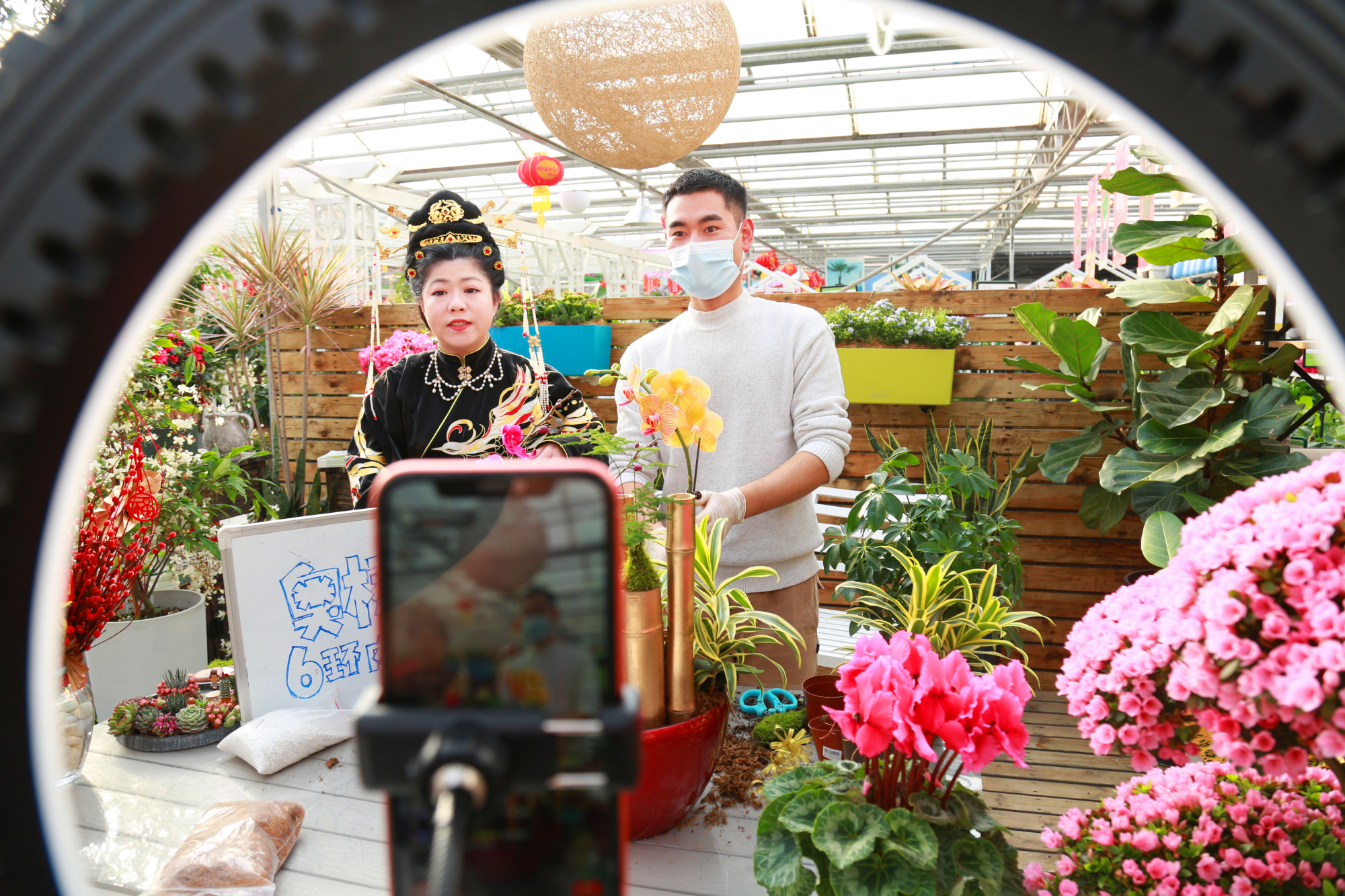 买年花添年味丰台花乡花木集团打出线上线下销售组合拳
