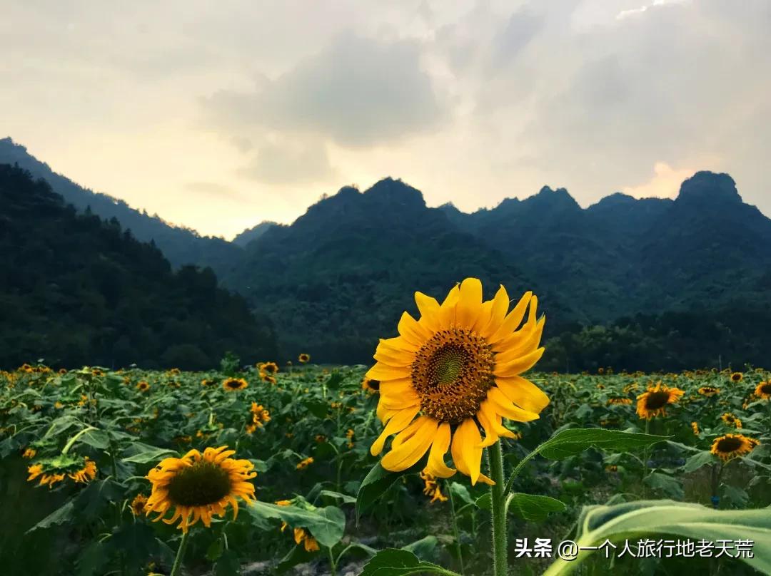 初秋适合去的小众宝藏地,这些宝藏去处你打卡了吗