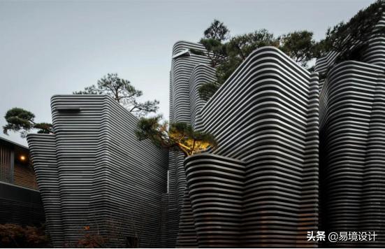 易境自然景观,易境共享茶室