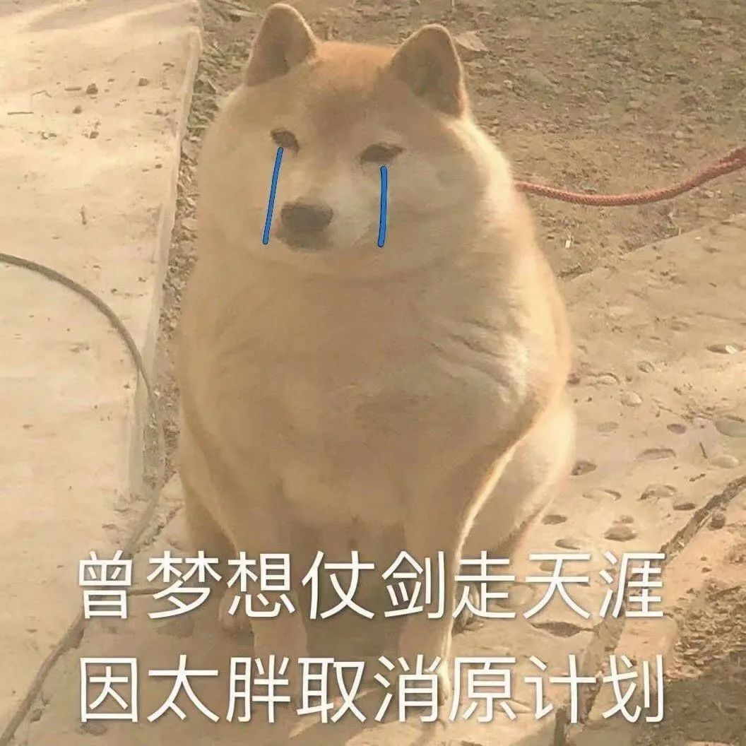 给狗绝育很残忍?不绝育才是残忍