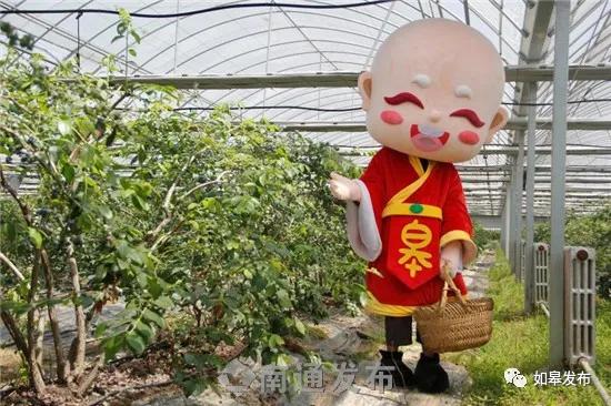 乡村振兴看如皋|“如宝”带货！如皋一批特色农产品成“网红”～