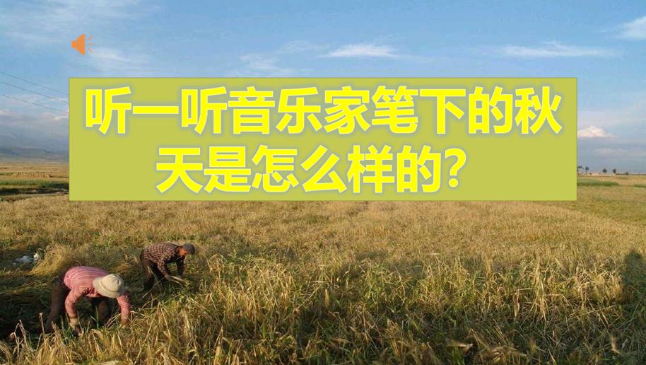 网易云音乐的音乐怎么导入ppt,如何将网易云音乐导入ppt