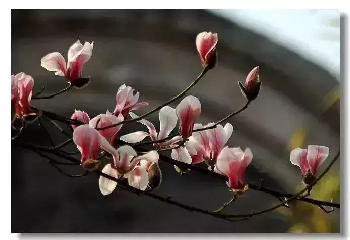 狂飙18级,狂飙18集公路飙车片段在哪