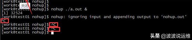 面试官：如何有效处理nohup日志输出过大问题？