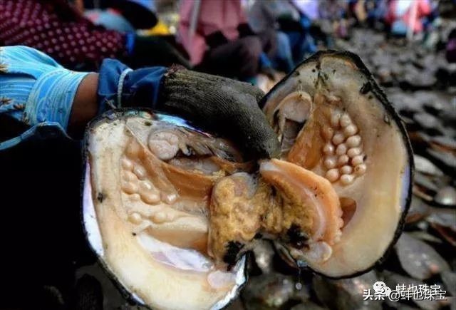 珍珠是什么物质组成的,珍珠是什么做的