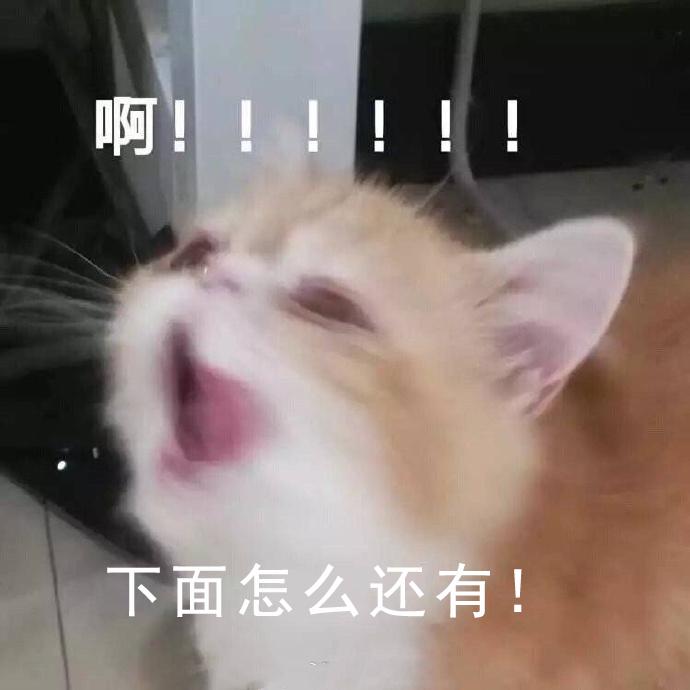 每周的朋友圈说说,每周的话题排行