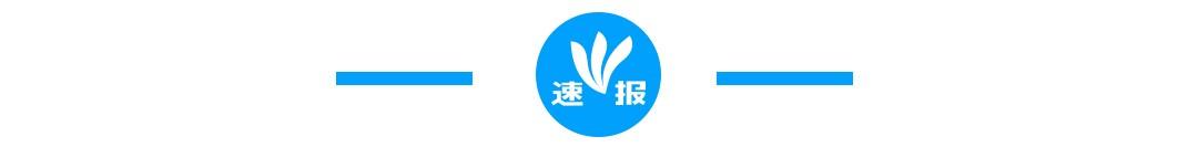 日本清酒獭祭什么价位,日本最贵十大清酒