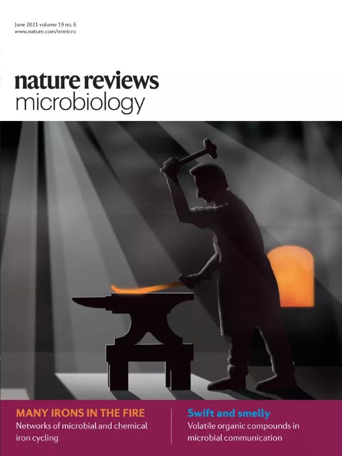 自然期刊封面,最新自然期刊