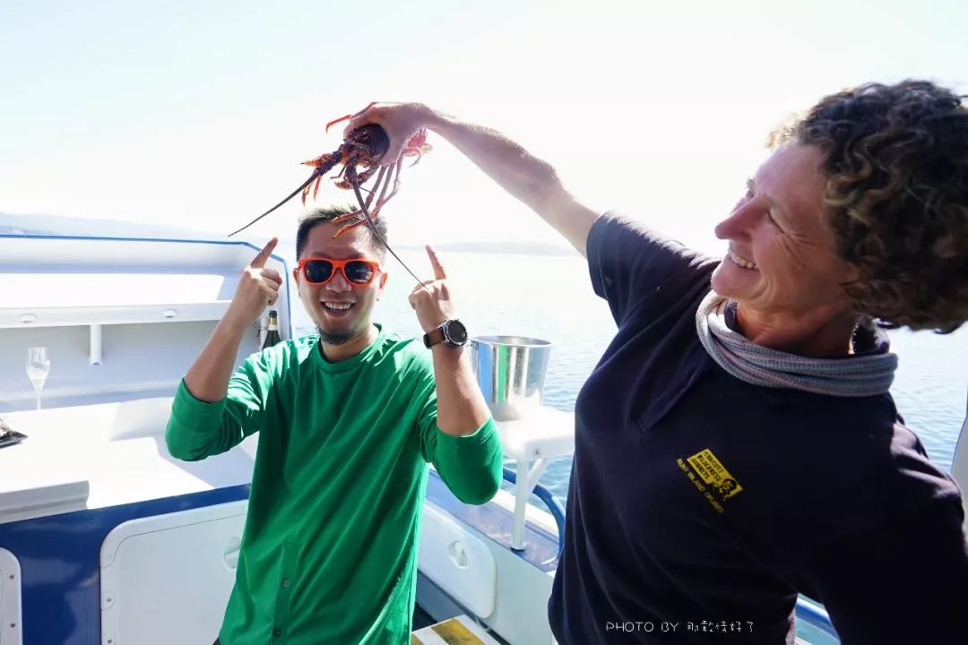 去哪里旅游可以看南极企鹅,旅游攻略南极看企鹅