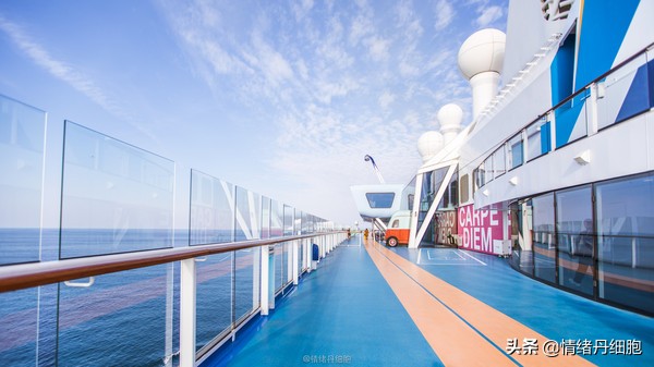 邮轮游选择哪个游轮好,邮轮旅游全攻略公主号
