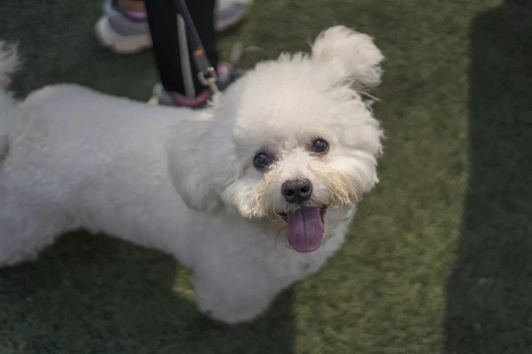 报考华南农业大学,华农报录比