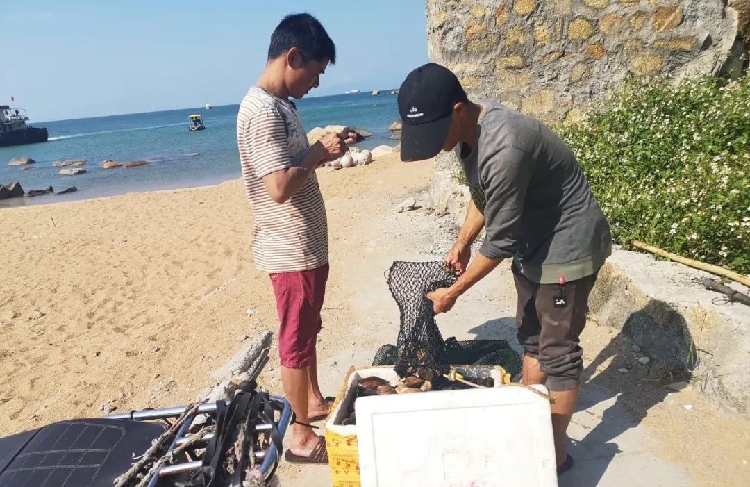东澳岛环岛自驾一日游,东澳岛环岛一日游价格