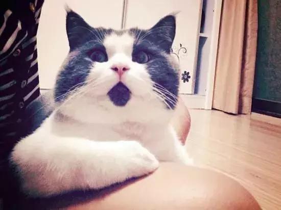 去眼袋用痔疮膏可以吗,小红书去眼袋的眼霜能用吗