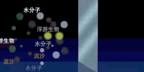 每滴水过滤两遍，德国人30年隐藏科技，格力董小姐价格只要1/10！