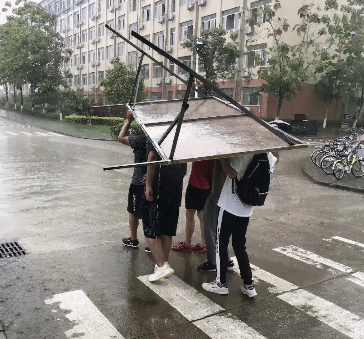 2019爆笑gif动图高清斗图,2019爆笑gif动图高清