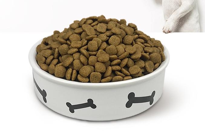 狗狗怎么养才能养胖,狗狗喂养指南从养狗小白进阶